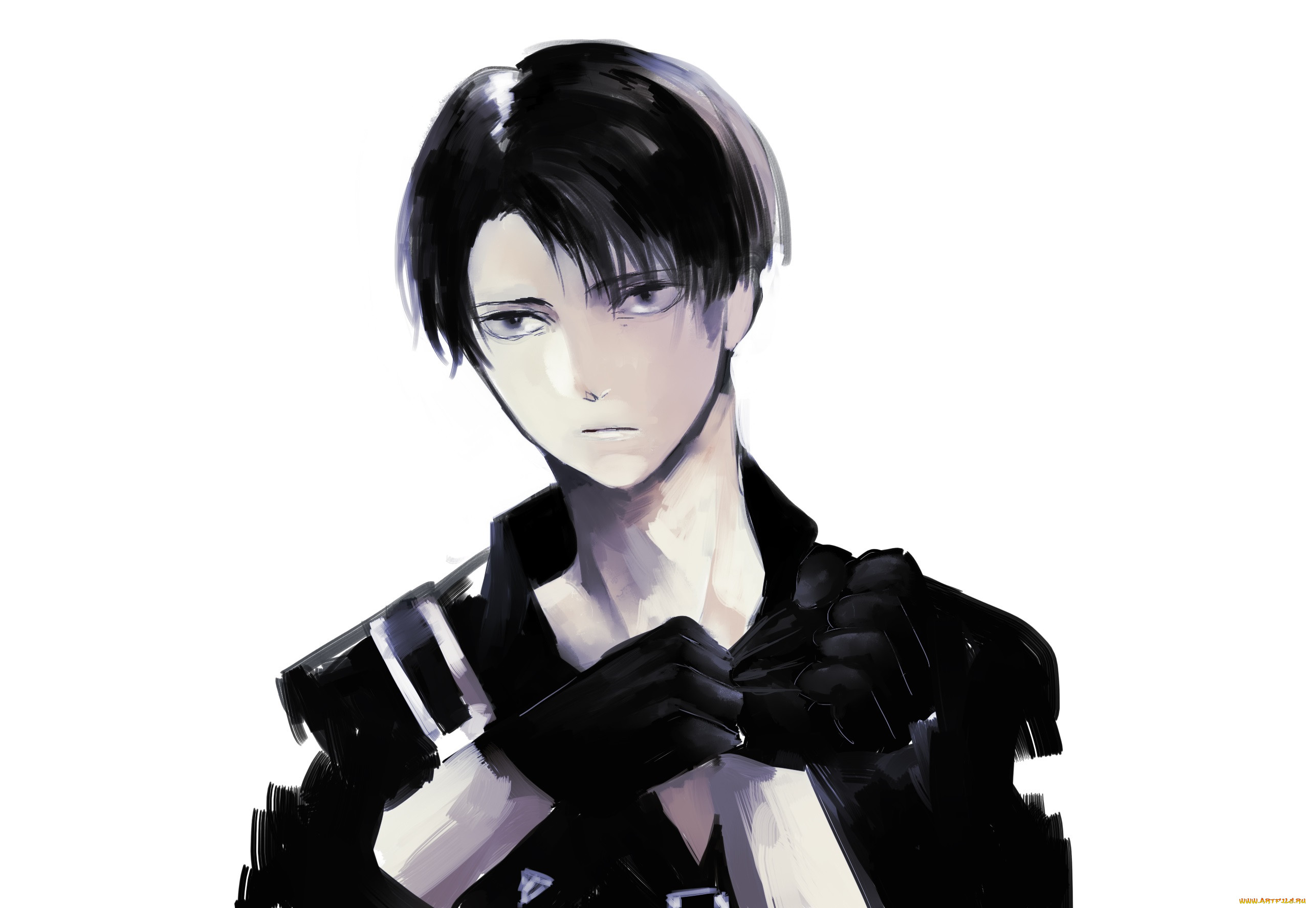 , shingeki no kyojin, 